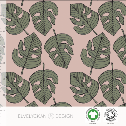 Monstera - Rose (030)