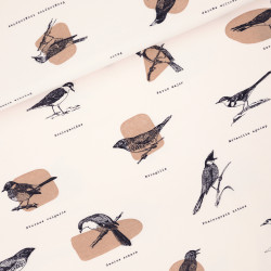 Ornithology French Terry