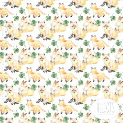 AllGots Fox For Sake