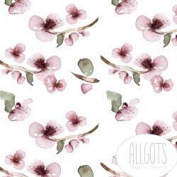 AllGots Only Vera
